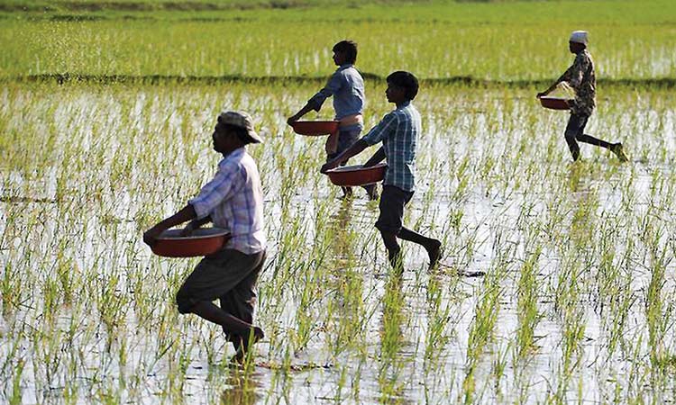 Smallholder farmers key to curbing climate crisis 썸네일