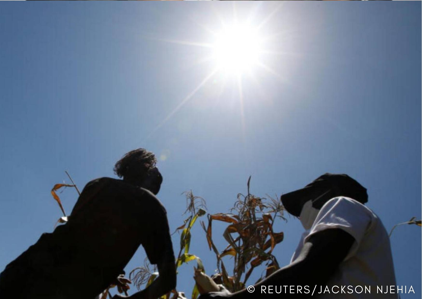 OPINION: African agriculture is ready for a digital revolution 썸네일