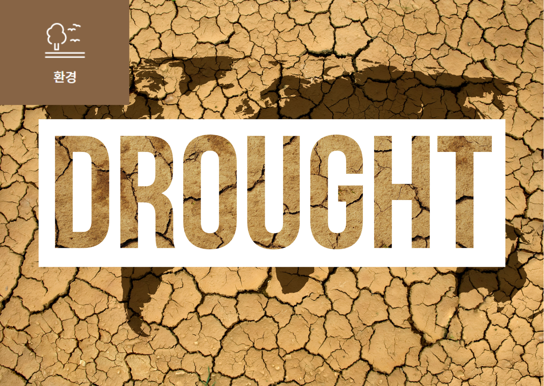 ﻿최악의 가뭄 겪는 ‘아프리카의 뿔’ 썸네일