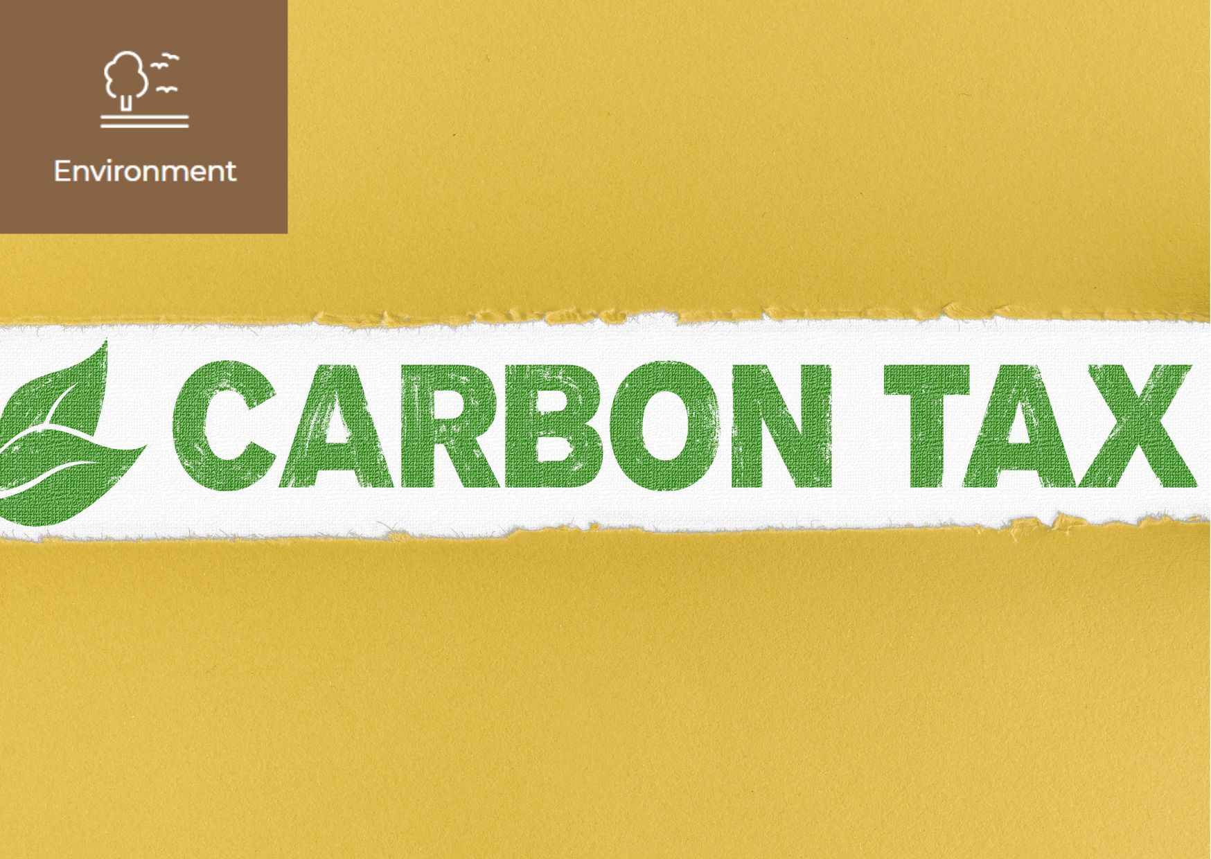 Levying a Tax even on Carbon! 썸네일