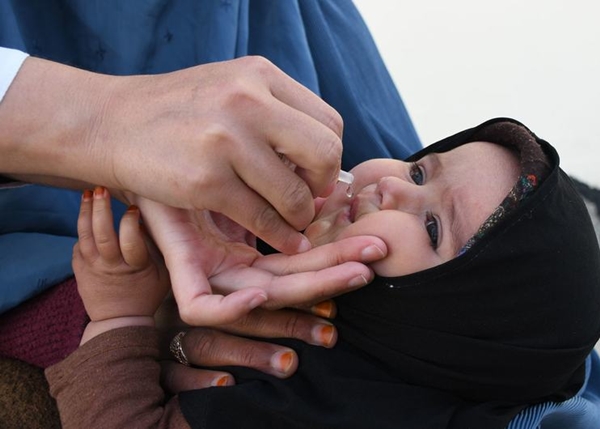 2021년 탈레반 집권 이후 처음으로 아프간 전역에서 수백만 명의 어린이들이 홍역, 소아마비 예방 접종을 받았습니다. 썸네일