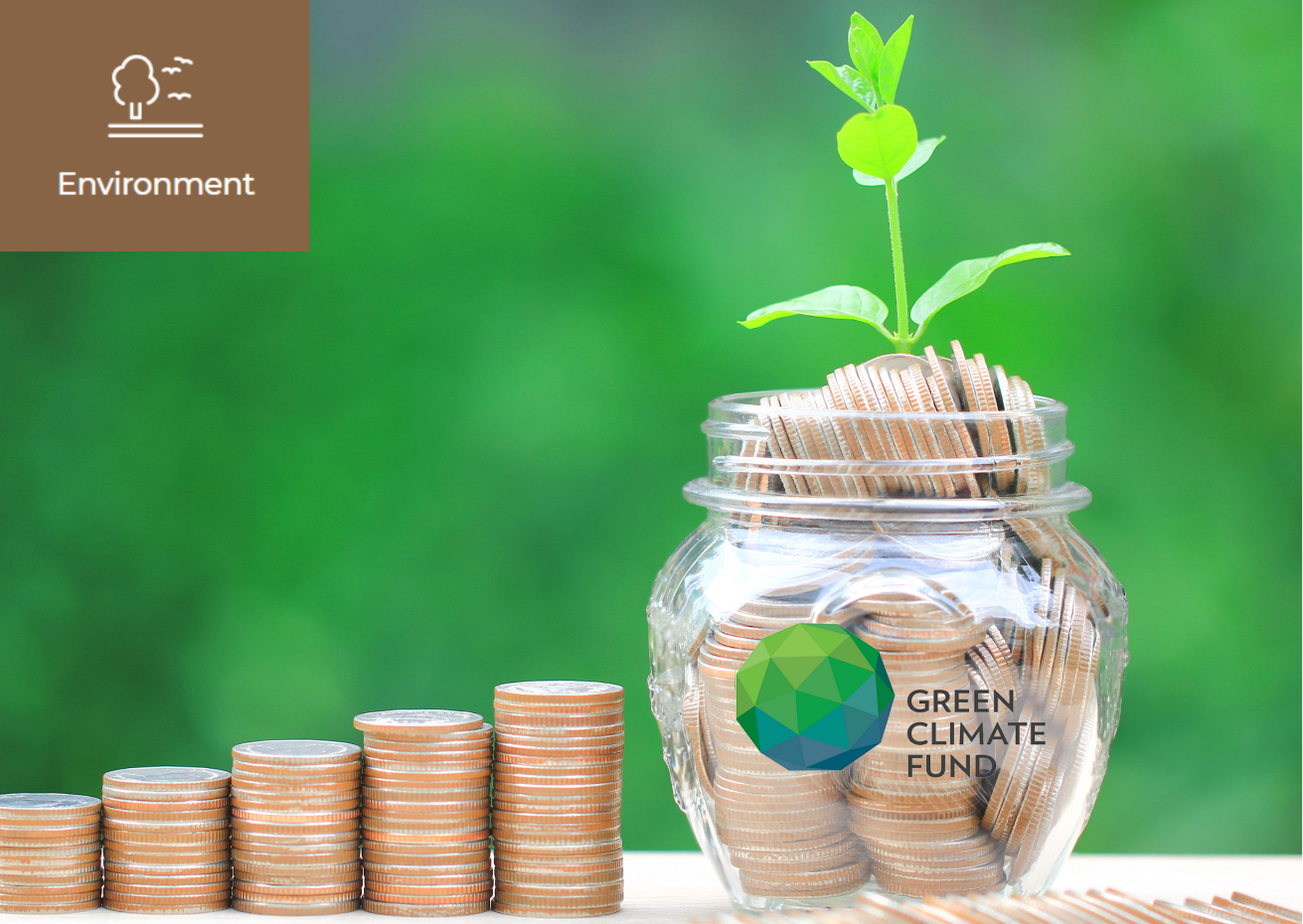 What is the Green Climate Fund? 이미지