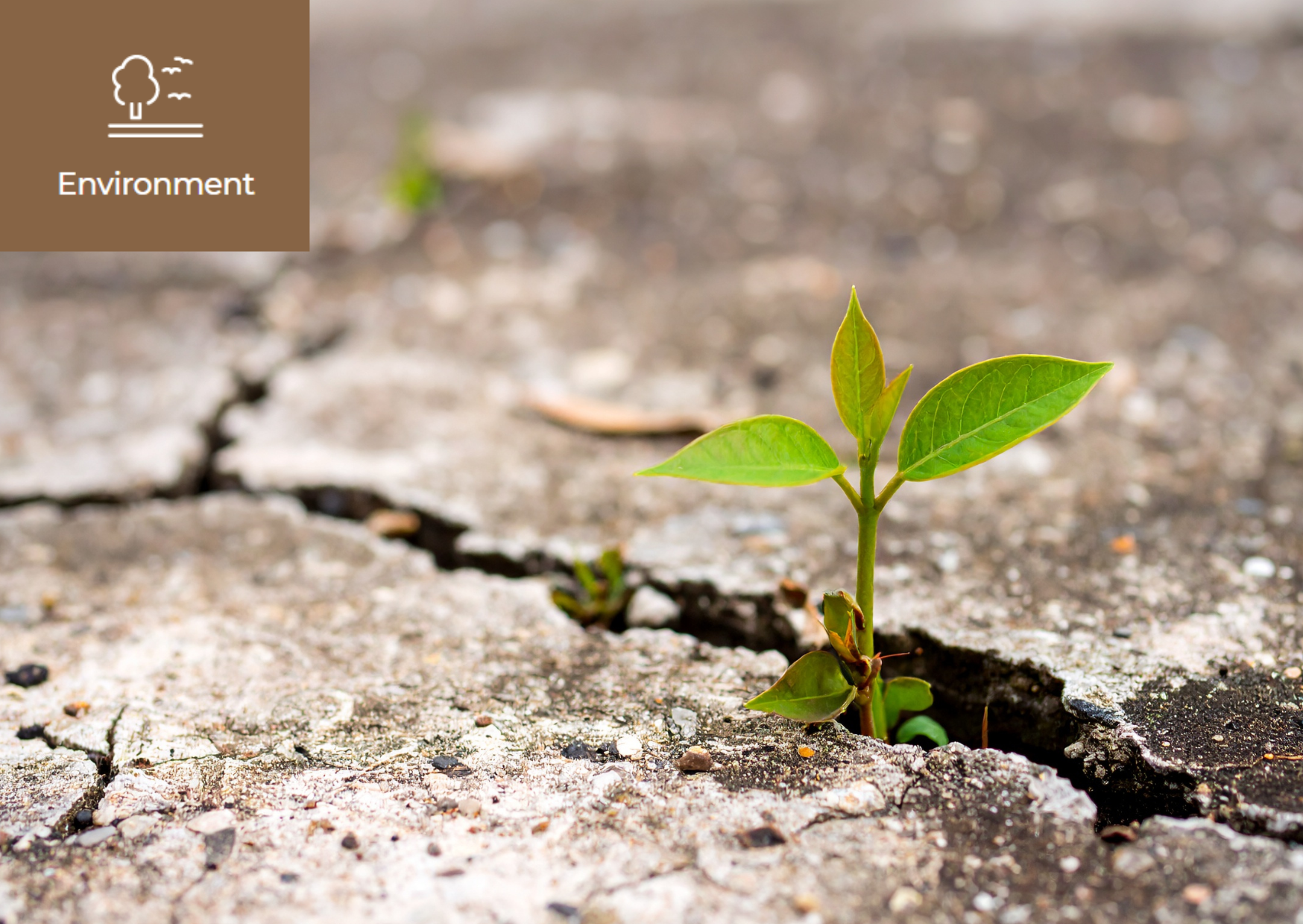 What is Climate Resilience? 썸네일