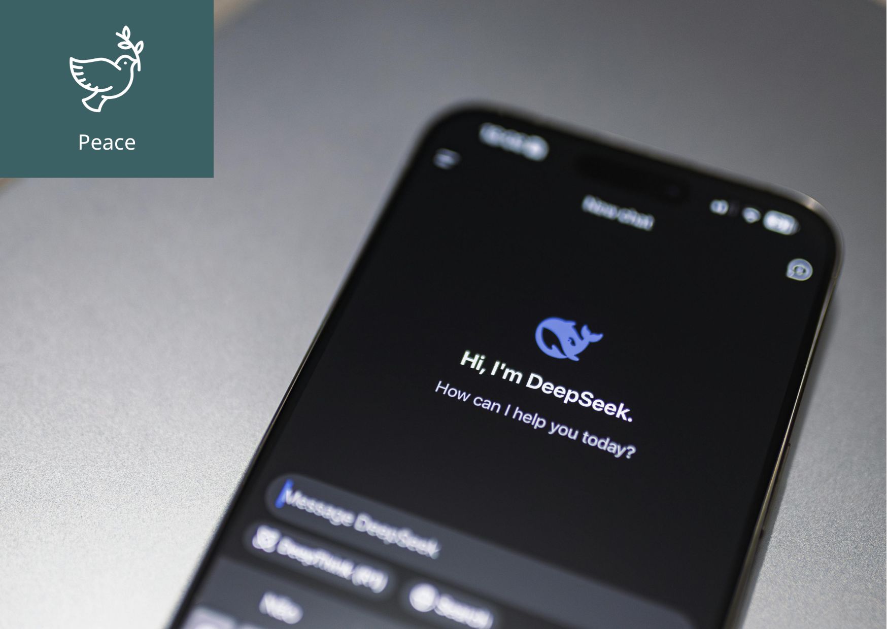 [What is AI Activism?] 이미지