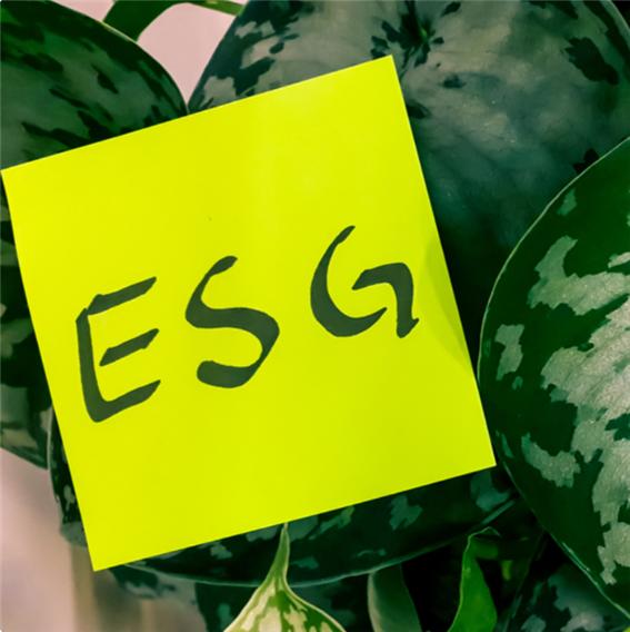 esg.jpg