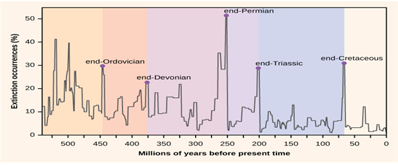 diagram.png