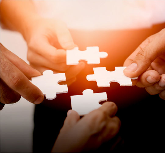 PARTICIPATE 이미지