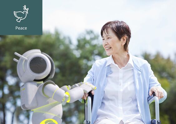 [What Is Human-Centered AI?] 이미지